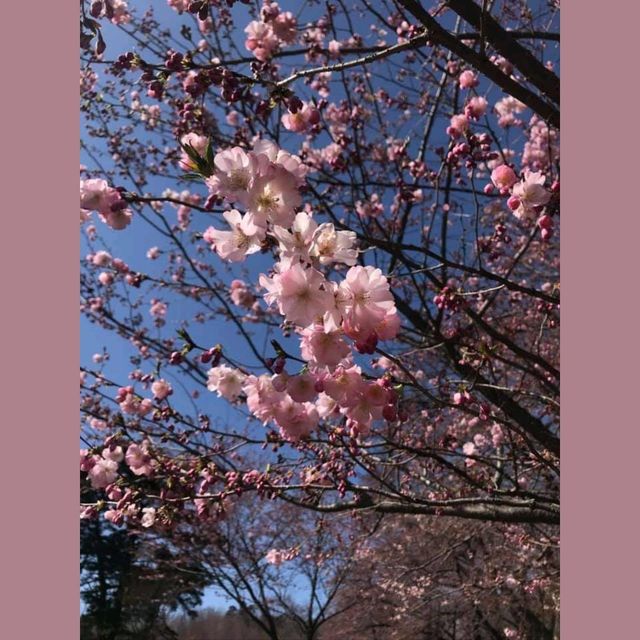 自1970年開既～群馬縣伊香保グリーン牧場