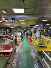 속초 수산 시장