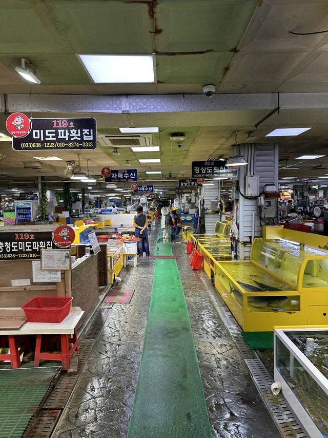 속초 수산 시장