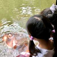 印尼峇里島野生動物園