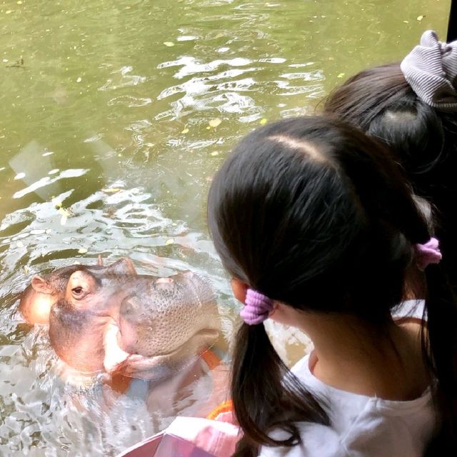 印尼峇里島野生動物園