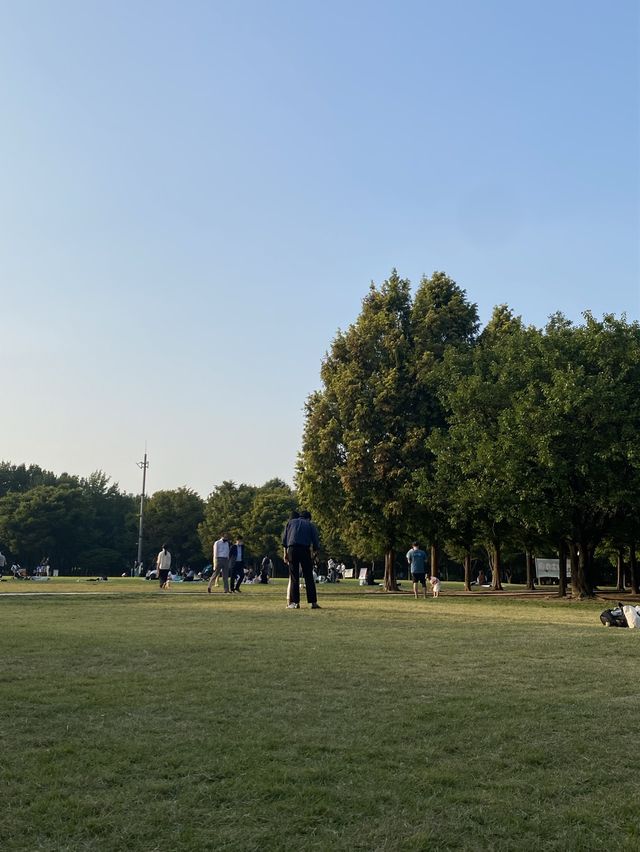 건물과 숲의 조화 🌳 서울숲 
