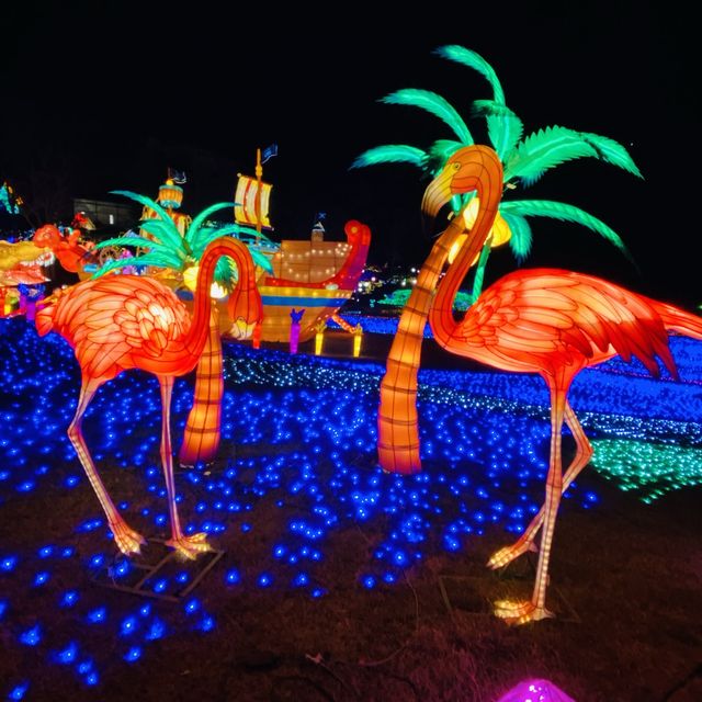 東京ドイツ村のイルミネーション