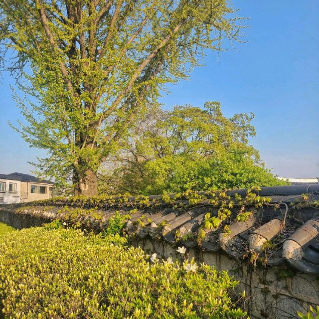 수원 행궁동 감성으로 가득 차다☀
