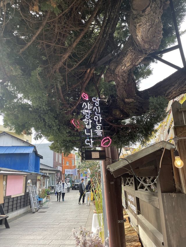 포항여행에서 꼭 가야하는 동백꽃필무렾 촬영지 ✨