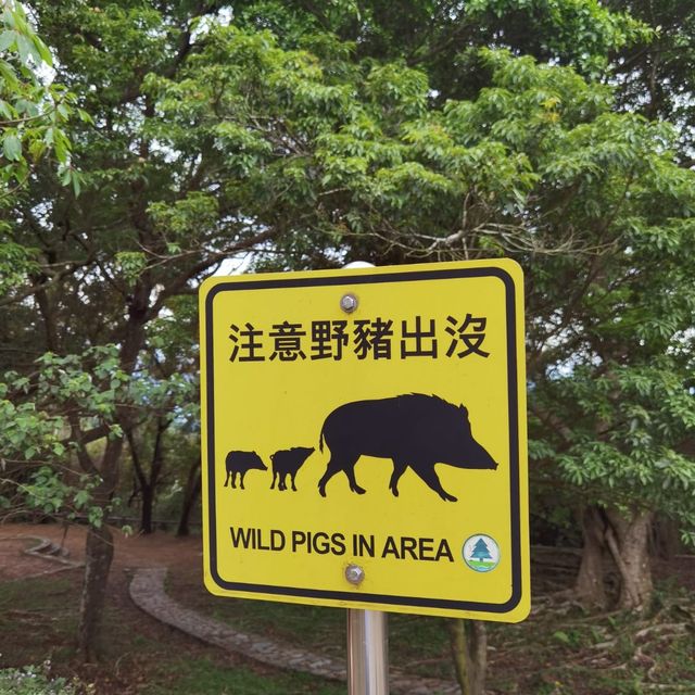 由鬧市幾分鐘行到鳥語花香的山林間