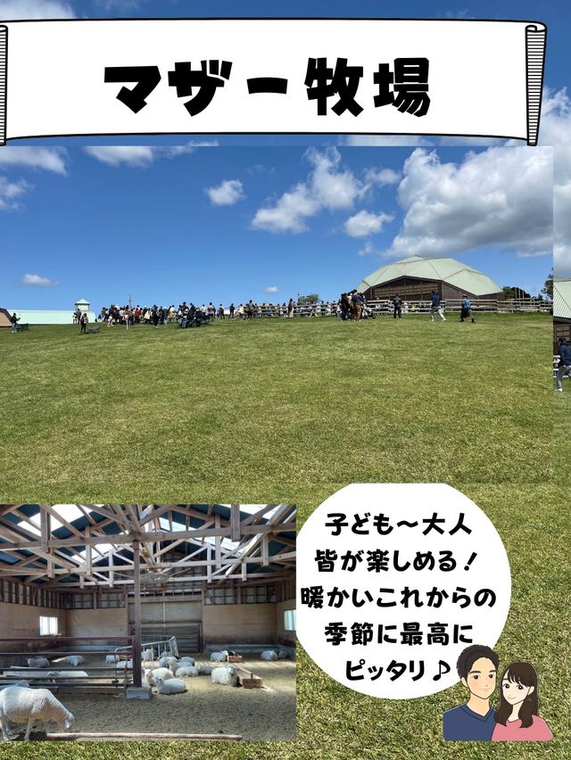 動物だけじゃない！[満開のお花畑&超お得なチケット付き！]マザー牧場行く前にチェック！