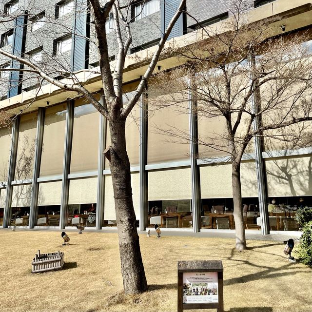 品川プリンスホテルの日本庭園