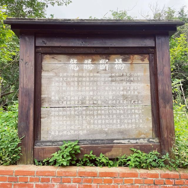 大地震留下來的遺蹟｜龍騰斷橋｜舊山線百年斷橋超絕美