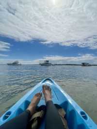 Kayaking with Dolphins and Snorkeling tour