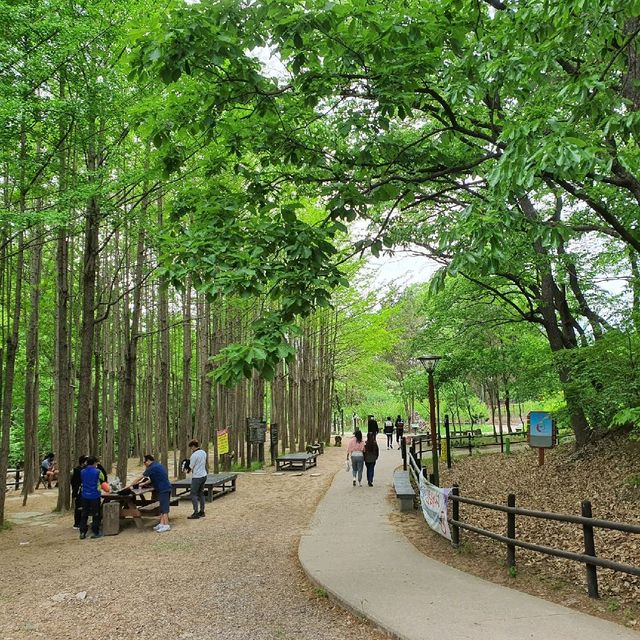 부처님 오신날은 꼭 진관사로 오세요