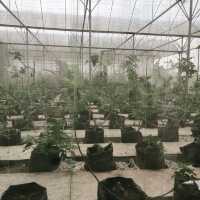 The Joys Of Agricultural Farming 