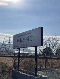 따뜻함이 가득한 경주 메종드마망펜션 🏡