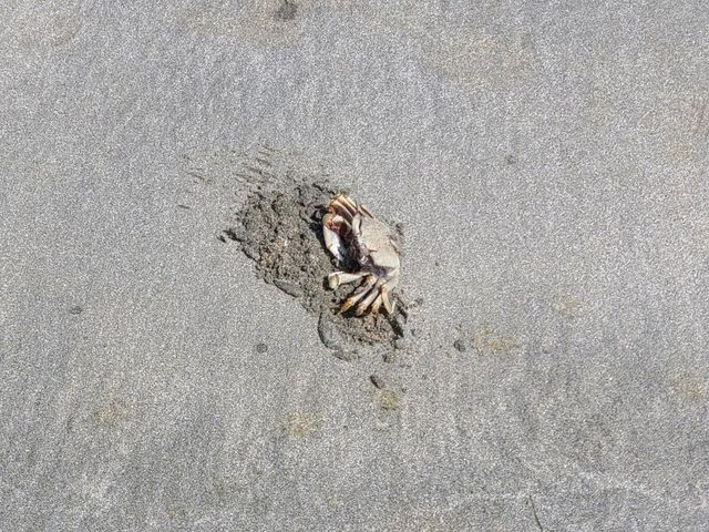 全港最長沙灘~長沙🏖️