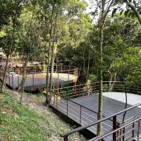 台北內湖區 ｜ 碧山露營場