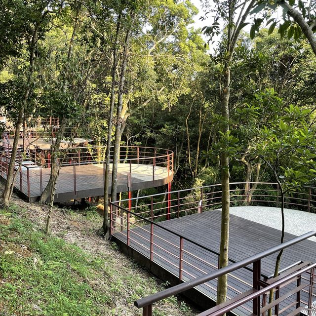 台北內湖區 ｜ 碧山露營場