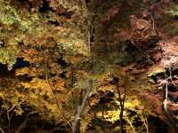 【京都】清水寺の歴史と見ておくべきスポットをご紹介