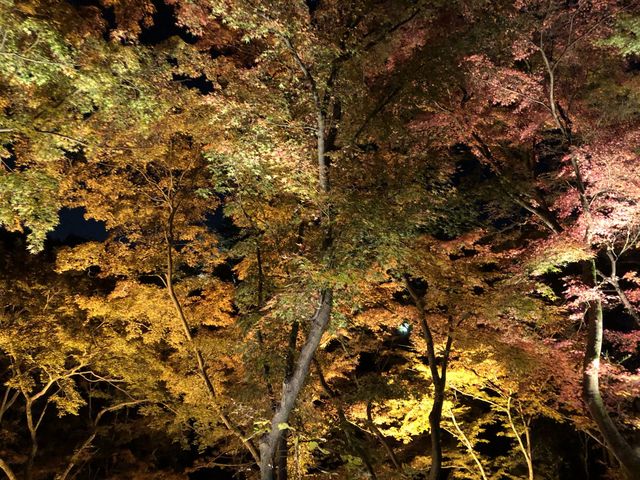 【京都】清水寺の歴史と見ておくべきスポットをご紹介