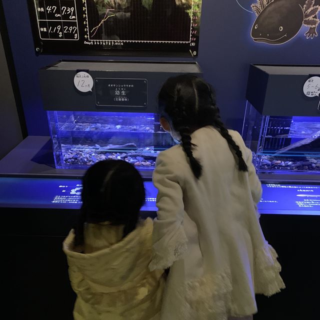 #京都親子遊｜京都水族館