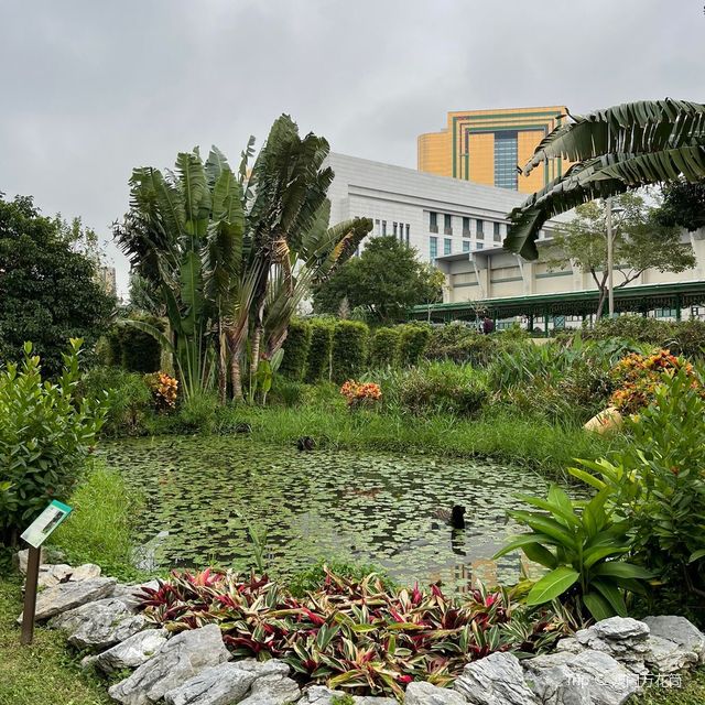 Macau Wetland of Beach Avenue,Taipa