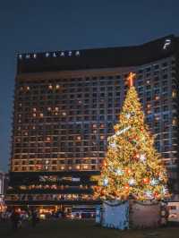서울시청광장에 설치된 트리🎄