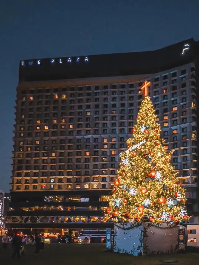 서울시청광장에 설치된 트리🎄