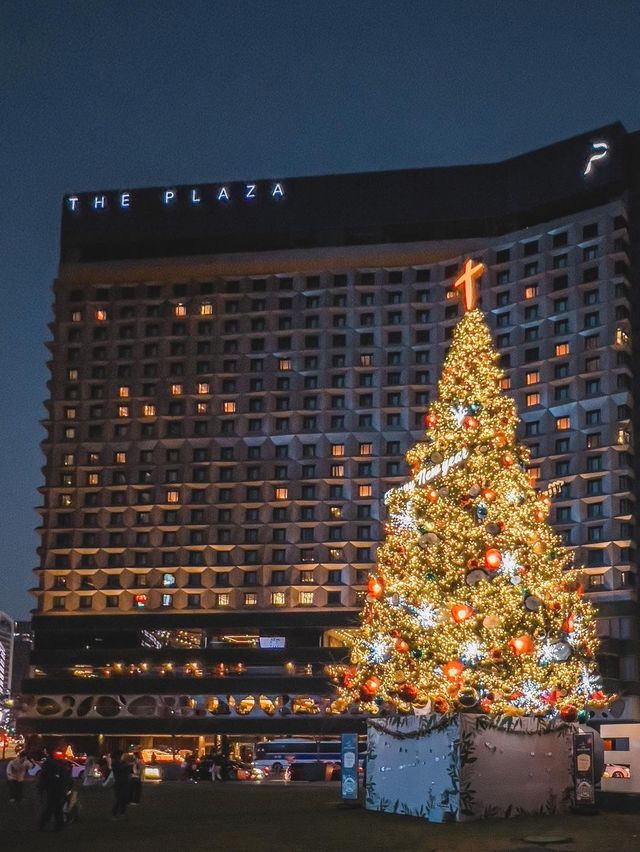서울시청광장에 설치된 트리🎄