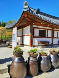연천 세라비 한옥카페, 장독대뷰가 멋스러🤎