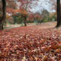 日本貴族的別苑所在地 – 京都嵐山(竹林道和龜山公園)