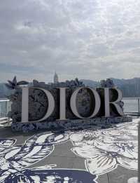聖誕好去處(1) - 海運 Dior 大型佈置