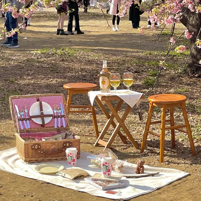 📌mimi picnic rental