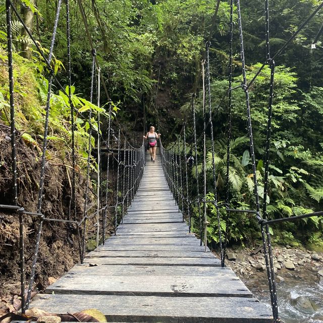 Cloud Forest, Costa Rica