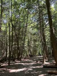 Ledges Trail Cuyahoga-Beautiful 