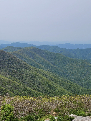한반도의 척추 태백산 등산