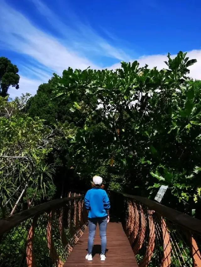 Kirstenbosch Botanical Gardens 