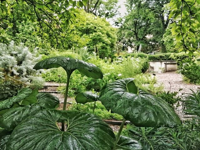 The beautiful Gardens if Brera in the heart of Milan