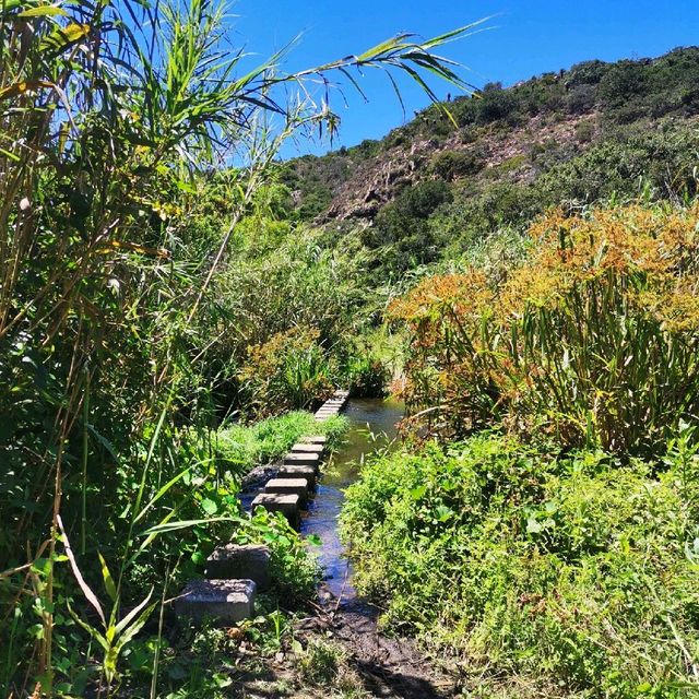 Settlers Park Nature Reserve 🌲🌿🍃