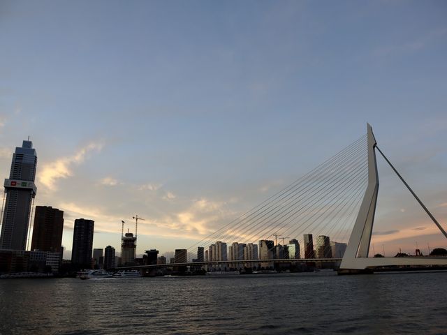 荷蘭🇳🇱Rotterdam賞日落必去地點 Erasmus Bridge