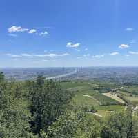 비엔나를 한 눈에 볼 수 있는 “Kahlenberg”
