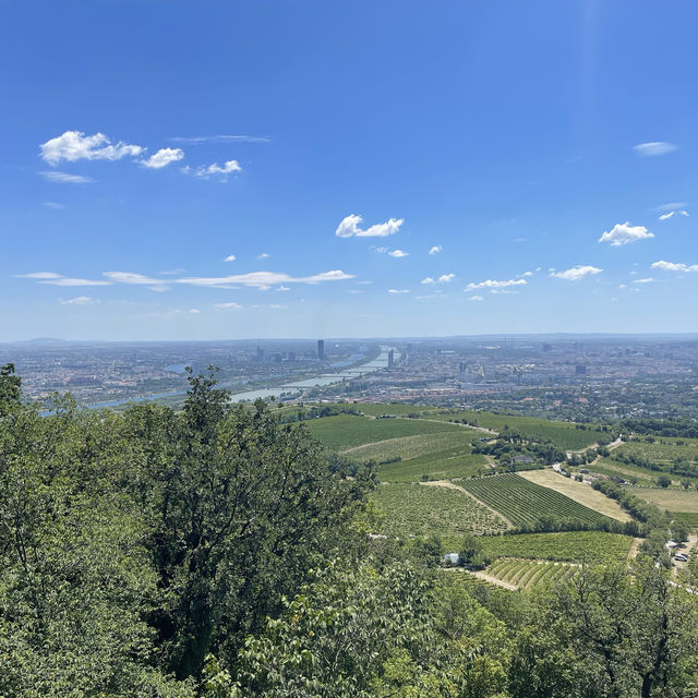 비엔나를 한 눈에 볼 수 있는 “Kahlenberg”