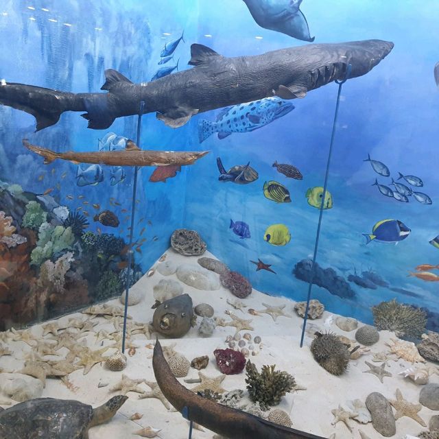 Amazing zooalogical museum 