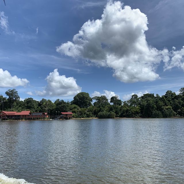 Bukit Merah Orangutan island 