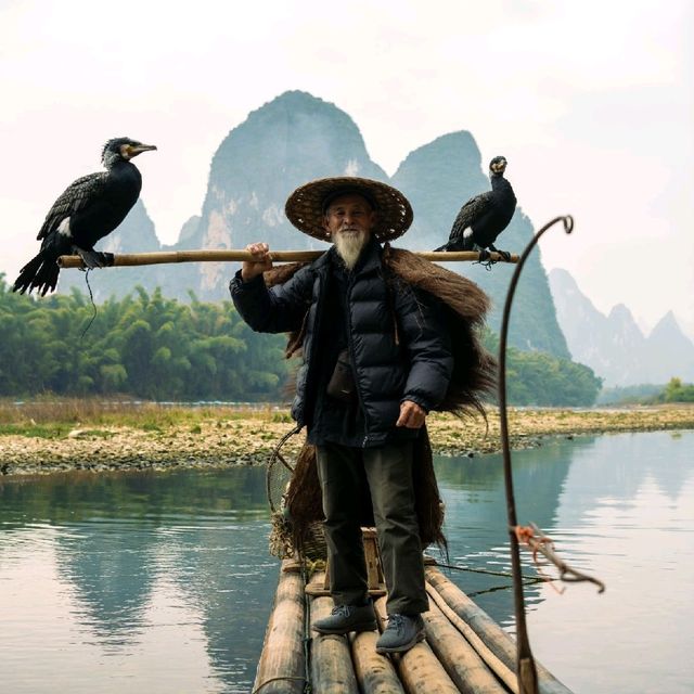 Cormorant fisherman of the Li River