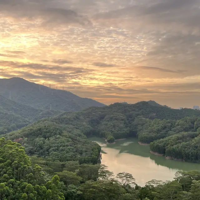 深圳羊台山森林公園打卡