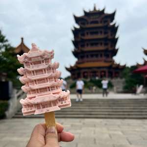 No words can describe the beauty and food of Wuhan. East Lake, Happy Valley and Wuhan Tower are must see! But make sure to walk with mosquito repellent!!!!###foodie #lakes