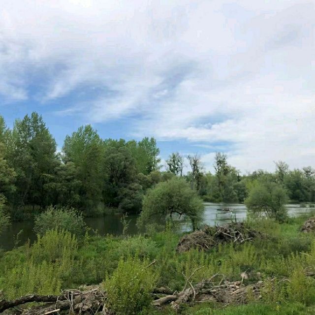 Scenic cycling around Rheinstetten 