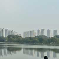 Shangxian river wetlands 