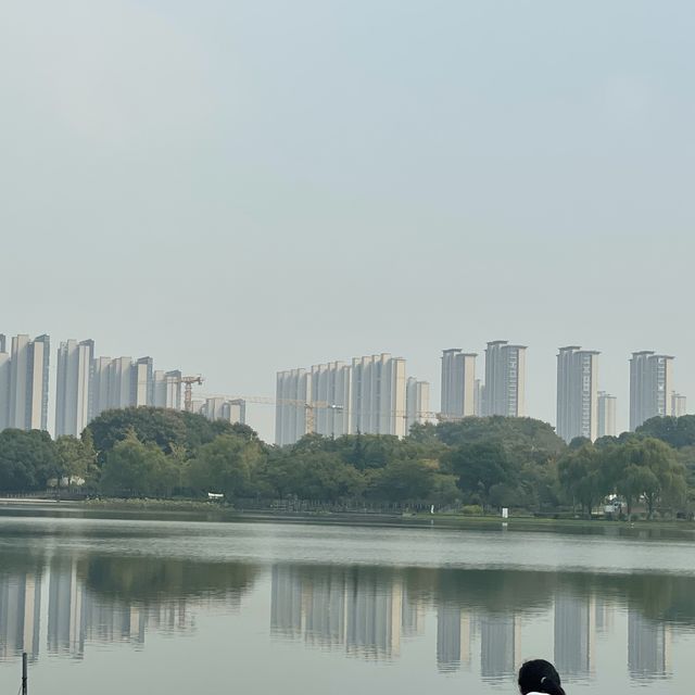 Shangxian river wetlands 