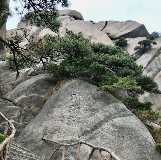 Lord of Wan overlooking the mountains 