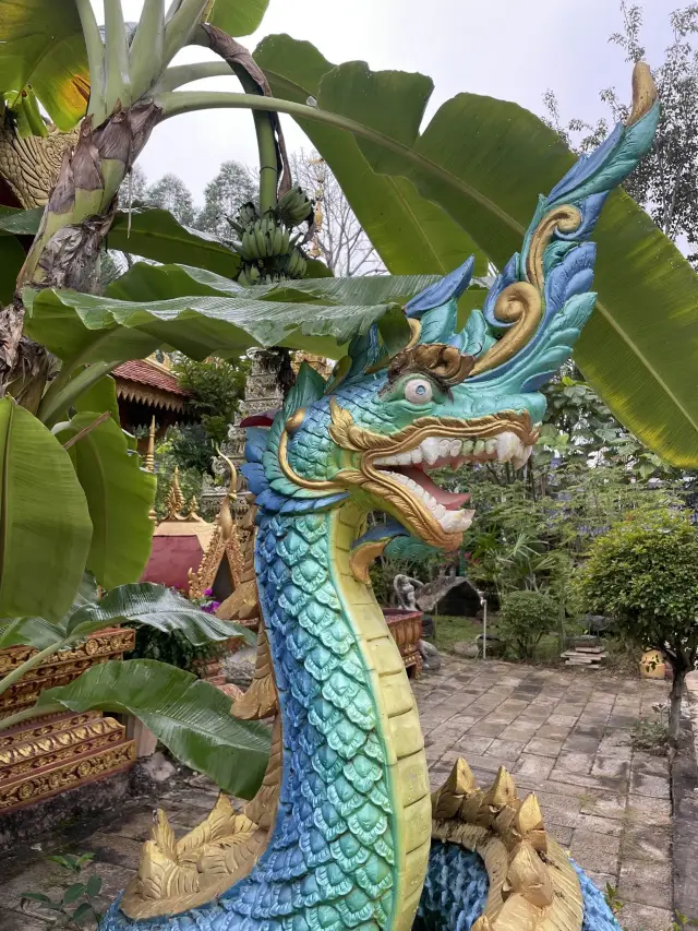 Visit the Dragons of Manzhang Village